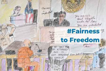 [ai] A courtroom scene illustrated with a judge, a defendant, and an audience. The defendant is seated and appears to be self-representing, while the judge addresses the case complexity. Text on the image reads: "#Fairness to Freedom" and additional comments about the defendant.